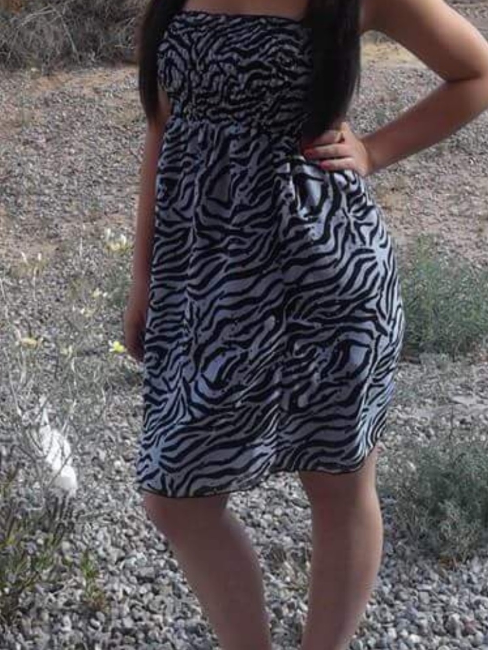 * $5 * Strapless Zebra summer Dress